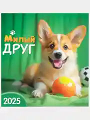 Тёмно-серый перекидной настенный календарь на скрепке на 2025 год. 70 видов