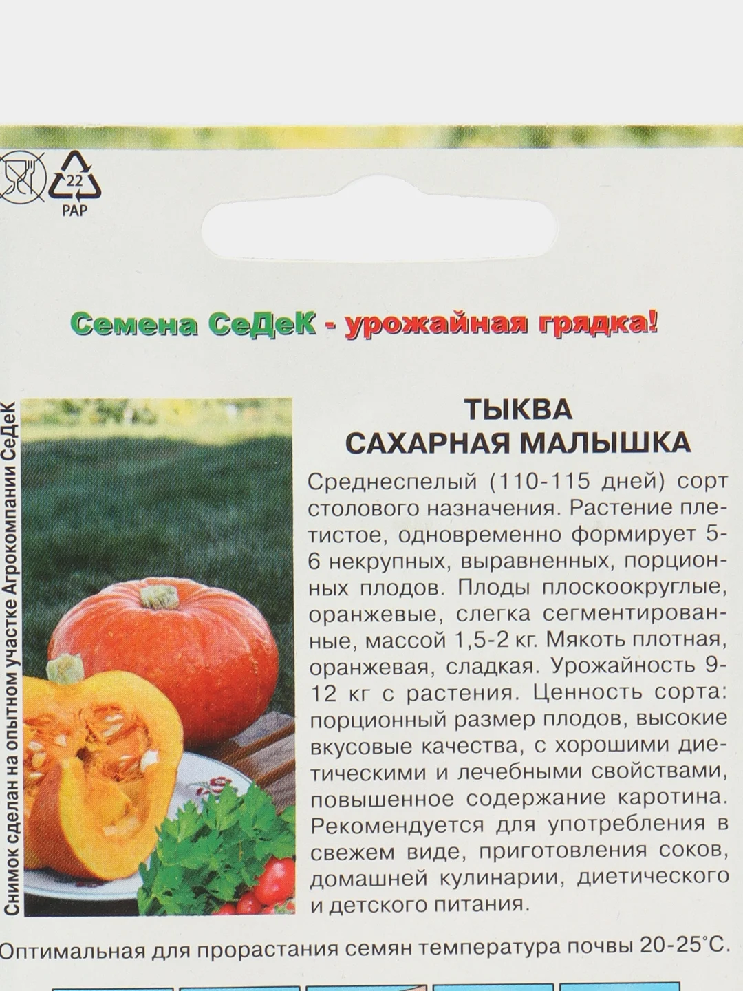 Тыква Сахарная малышка Седек
