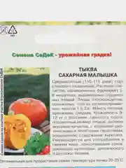 Тыква Сахарная малышка Седек