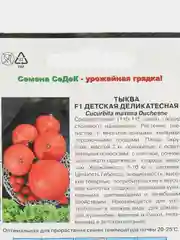 Тыква Детская деликатесная Седек