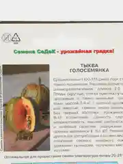 Тыква Голосемянка Седек