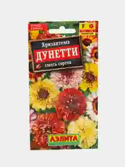 Хризантема Дунетти килеватая Аэлита
