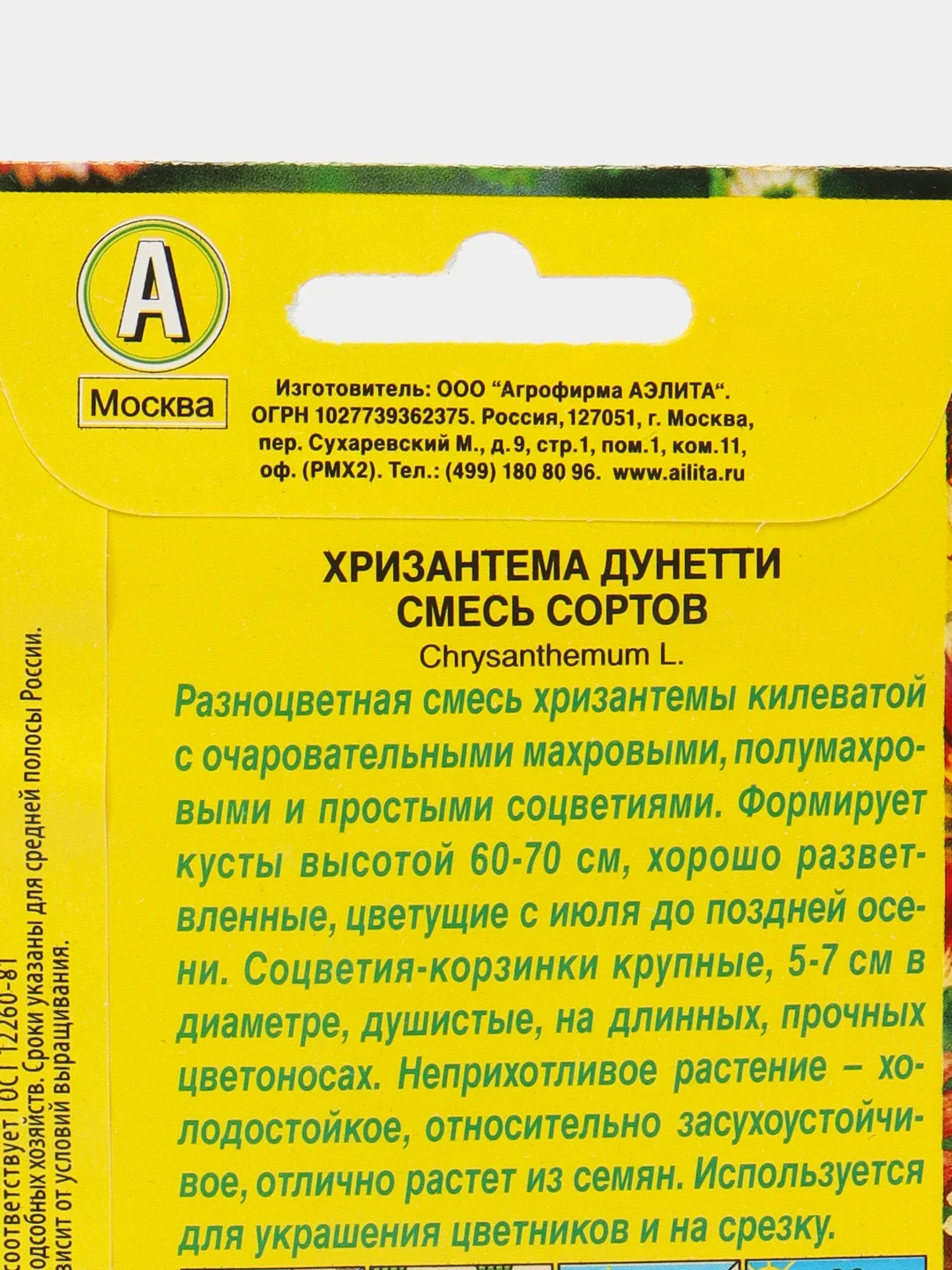 Хризантема Дунетти килеватая Аэлита