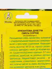 Хризантема Дунетти килеватая Аэлита