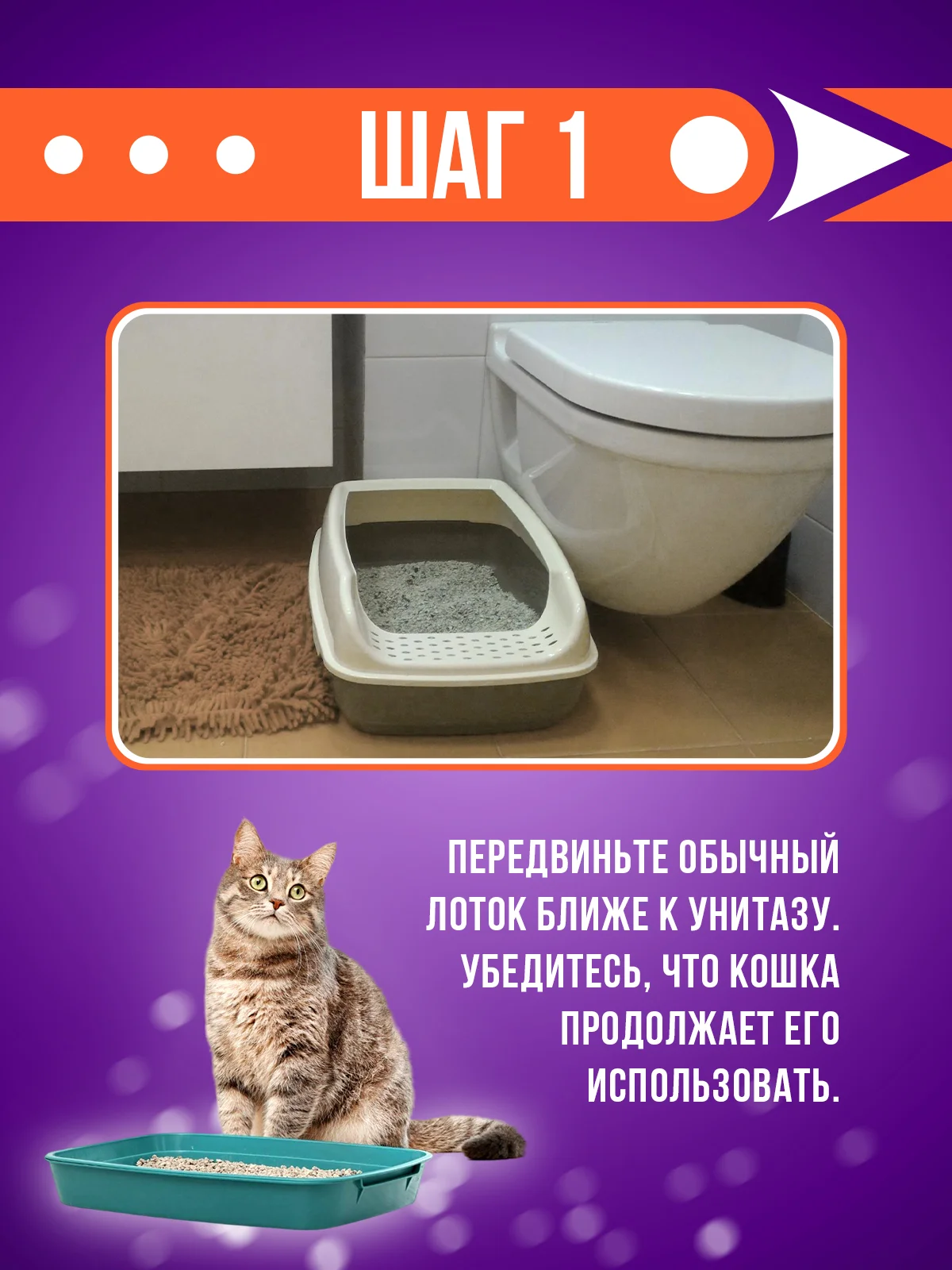 Zoo Plast система приучения кошек к унитазу, туалет для приучения кошек и мелких животных