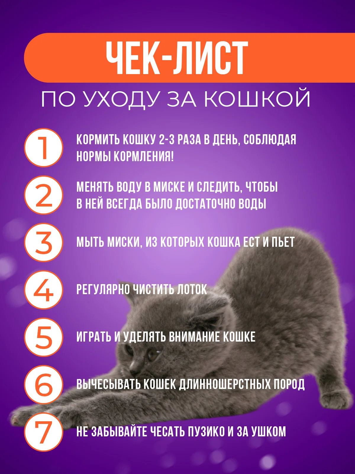 Zoo Plast система приучения кошек к унитазу, туалет для приучения кошек и мелких животных