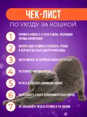 Zoo Plast система приучения кошек к унитазу, туалет для приучения кошек и мелких животных