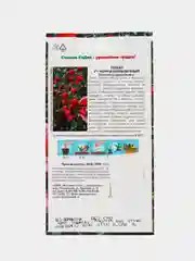 Семена томат Черри Клубничный Седек