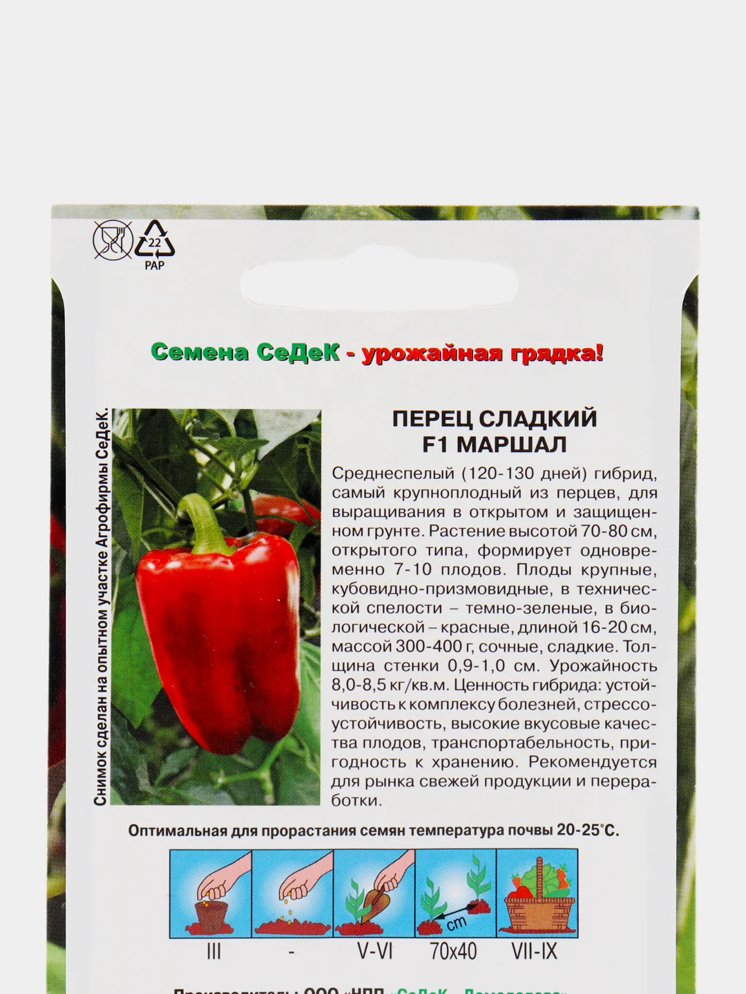 Семена Перец Маршал Седек