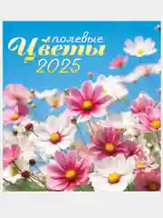 Черный перекидной настенный календарь на скрепке на 2025 год. 70 видов