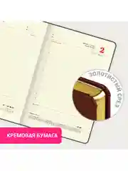 Ежедневник датированный 2025 Brauberg, планер планинг записная книжка А5, под кожу