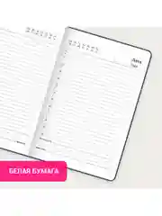 Ежедневник-планер (планинг) - блокнот недатированныйс резинкой, МАЛЫЙ А6, BRAUBERG, 114569