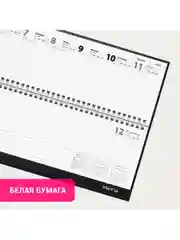 Еженедельник датированный 2025 Staff, планинг, 300х130 мм, на гребне, 64 листа