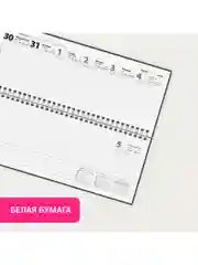 Еженедельник датированный 2025 Staff, 116049, планинг, планер, 285х112 мм, настольный
