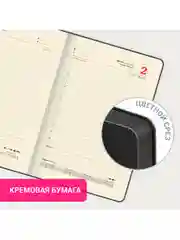 Ежедневник датированный 2025 Brauberg, планер планинг записная книжка А5, под кожу