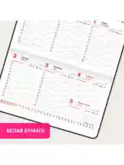 Еженедельник датированный 2025 Brauberg, планер, планинг, записная книжка А6