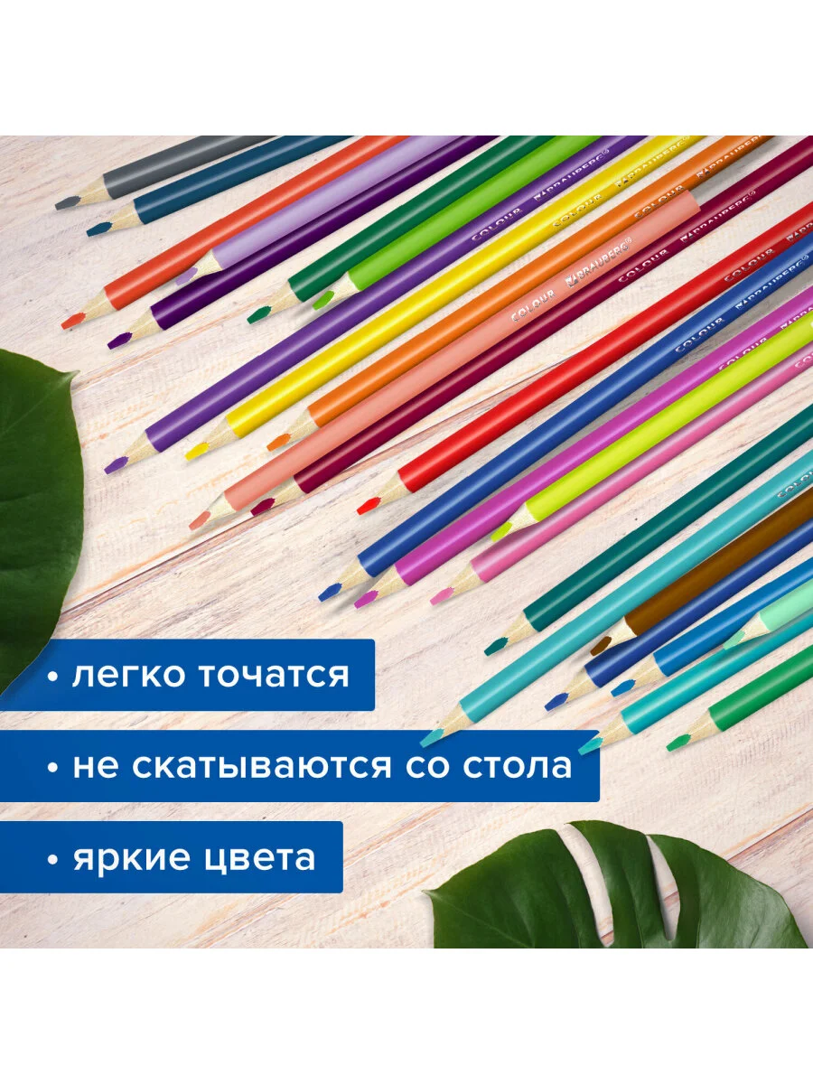 Карандаши цветные трехгранные BRAUBERG MAX, мягкий грифель, 50 цветов