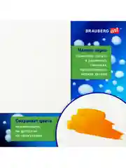 Холст полотно на подрамнике акварельный Brauberg 30х40, 240г/м хлопок мелкое зерно 191668