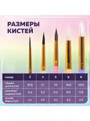 Кисти Brauberg Kids, 201080, для рисования 5 шт, кисточки № 2 3 5 6 8, белка, коза, пони