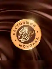 Большая коллекция шоколадных конфет Коркунов из темного и молочного шоколада с фундуком, карамелизированными грецким орехом, миндалем и вафлей, подарочный набор 256г