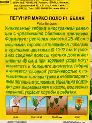 Семена петуния Марко Поло белая Аэлита