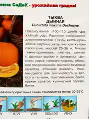 Тыква Дынная Седек