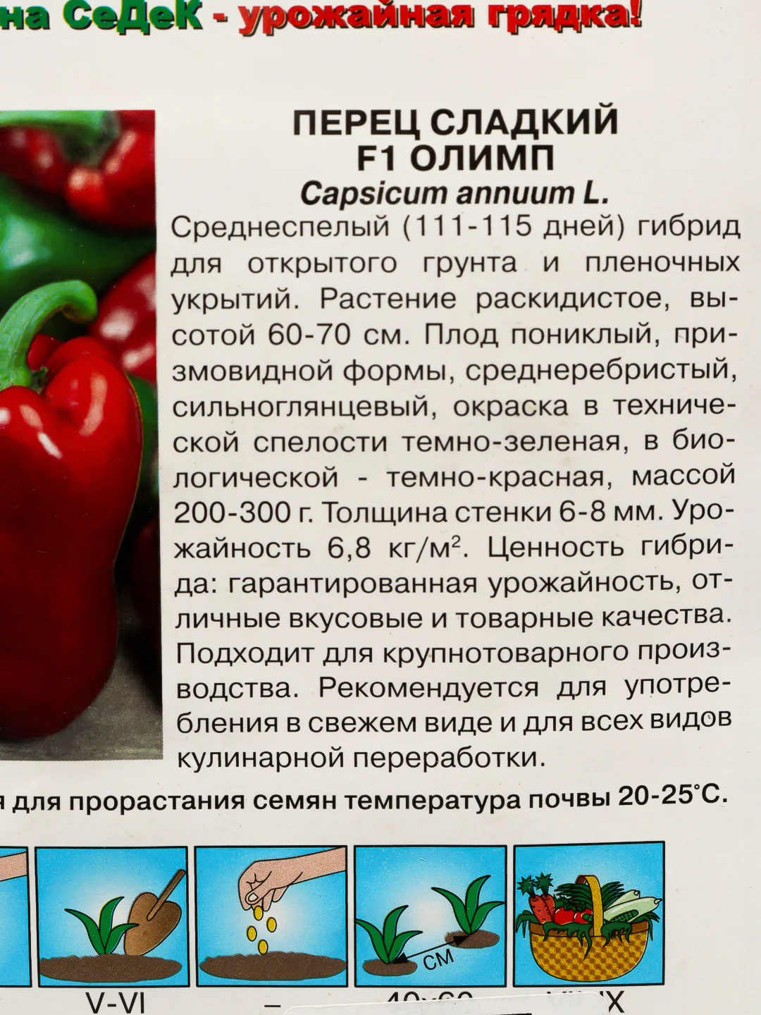 Семена Перец Олимп Седек