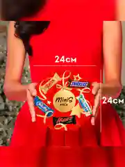 Сладкий подарок Minis Mix на Новый Год, набор конфет Snickers, Twix, Bounty, Milky Way, Mars 262г