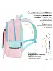 Рюкзак школьный для девочки, ранец, портфель 2 отделения и 3 кармана, 39х28х16 см Brauberg