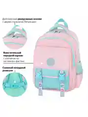 Рюкзак школьный для девочки, ранец, портфель 2 отделения и 3 кармана, 39х28х16 см Brauberg