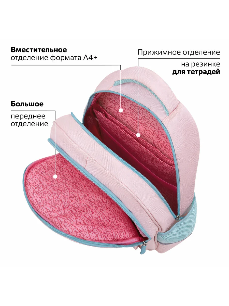 Рюкзак школьный для девочки, ранец, портфель 2 отделения и 3 кармана, 39х28х16 см Brauberg