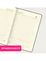 Ежедневник недатированный BRAUBERG Status, 210 х 297 мм, А4, 160 л, черный