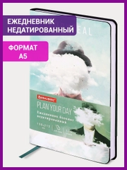Ежедневник-планер (планинг) - блокнот недатиров. А5 BRAUBERG VISTA экокожа гибкий, 112034