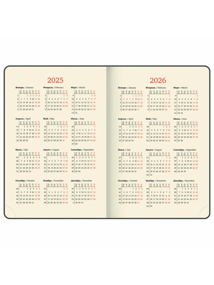 Ежедневник датированный 2025 Brauberg, планер планинг записная книжка А5, под кожу