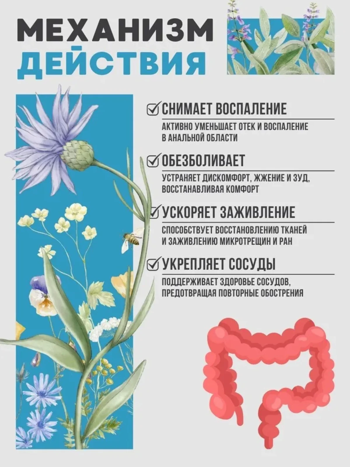Крем при геморрое, средство от анальных трещин, зуда, проктита - 50 мл
