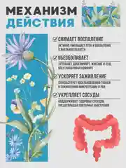 Крем при геморрое, средство от анальных трещин, зуда, проктита - 50 мл