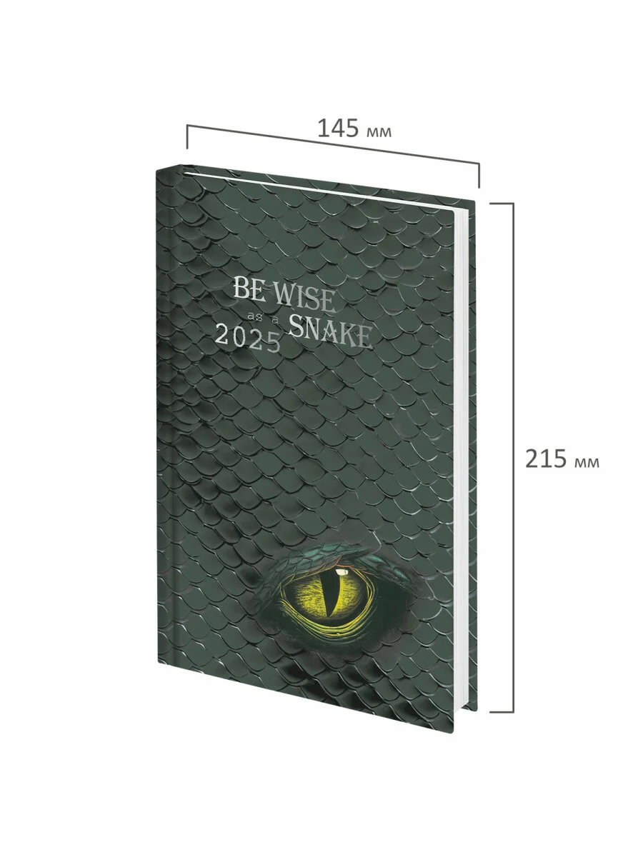 Ежедневник датированный 2025 Staff, 116022, планер, планинг, записная книжка А5 145х215 мм