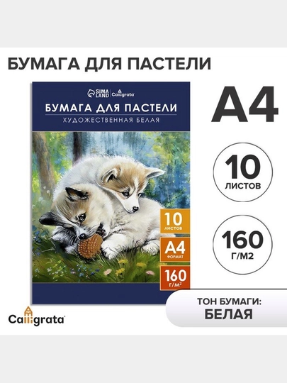Бумага для пастели в папке А4 10л 160г/м2, белые листы