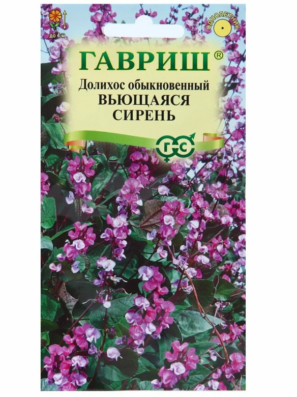 Семена цветов Долихос (Гиацинтовые бобы) "Вьющаяся сирень", ц/п, 4 шт купить по цене 39 ₽ в интернет-магазине Магнит Маркет (арт. 8706664)
