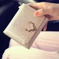 Золотой кошелек-визитница с декорированной застежкой