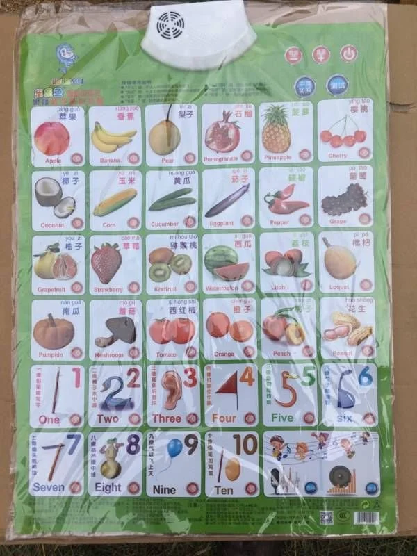 Плакат с картинками и озвучкой на английском языке